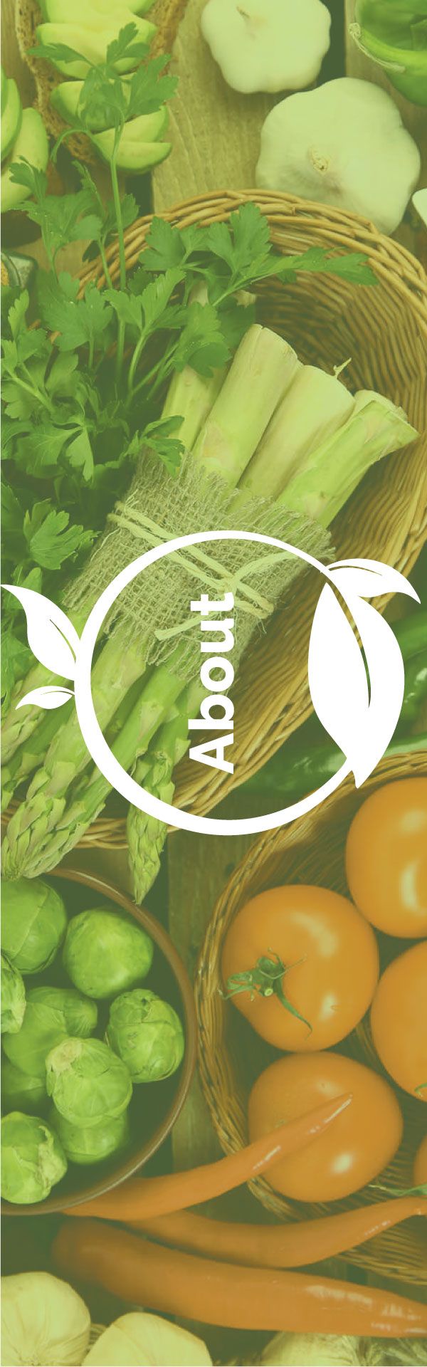 About-DanielFast-Header tip