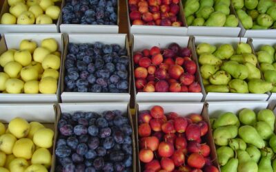 Frucht des Geistes – Selbstbeherrschung