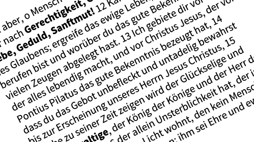 Die Reiche und der Gewaltige