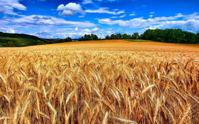 Frieden, Zufriedenheit, Hunger und Eifer