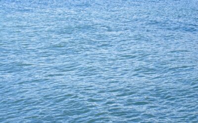 Heil und Wasser